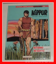 CARTONATO Euracomix 65 NIPPUR 7 Robin Wood Enrique Villagran