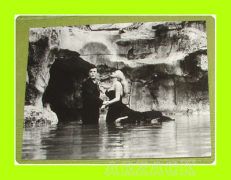 FOTO MASTROIANNI ANITA EKBERG FONTANA DI TREVI La Dolce Vita FELLINI