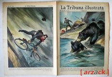 TRIBUNA ILLUSTRATA 25 VERGHERETO BAGNO TRAGICO INCIDENTE Zoo Orsi 21/6/1953