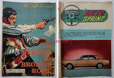 ALBI DELL'INTREPIDO 1061 Auto Sprint FORD ZODIAC Mk IV Universo 1966