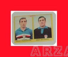 FIGURINA CALCIATORI Panini 1966 FRANCESCONI Sampdoria