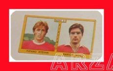 FIGURINA CALCIATORI Panini 1969 70 STEVAN Piacenza