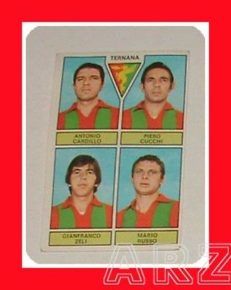 FIGURINA CALCIATORI Panini 1971 72 serie B TERNANA