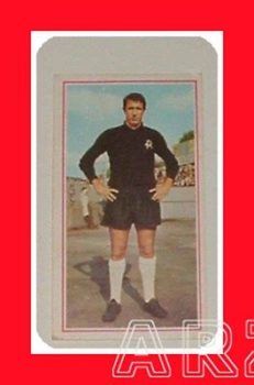 CALCIATORI Panini 1970 71 PIANTA L.R. Vicenza VALIDA