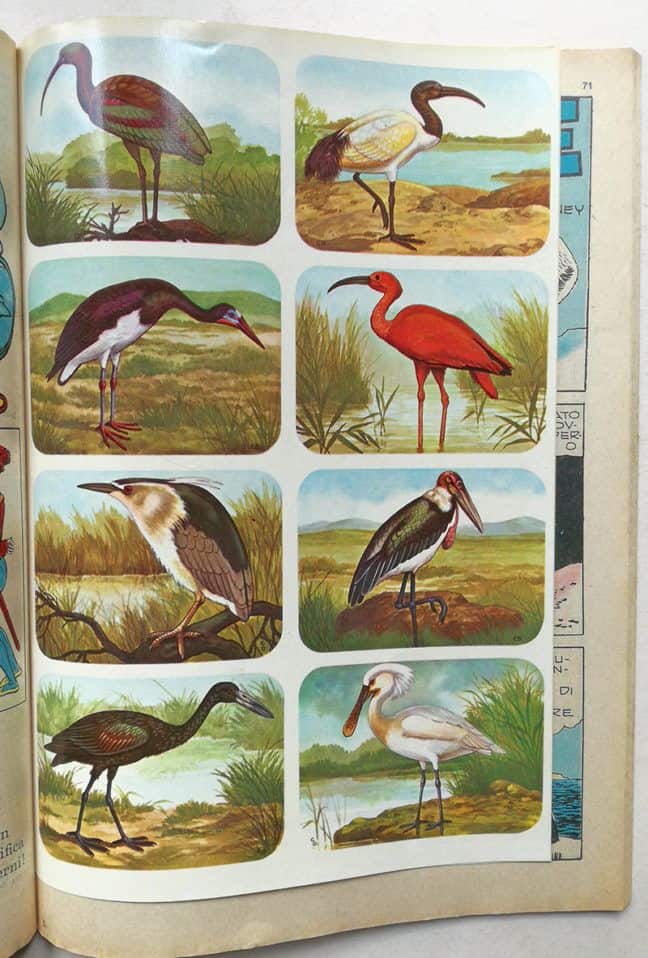 ALBI D'ORO Almanacco Topolino N 10 ottobre 1962 MONDADORI Walt Disney - immagine 2