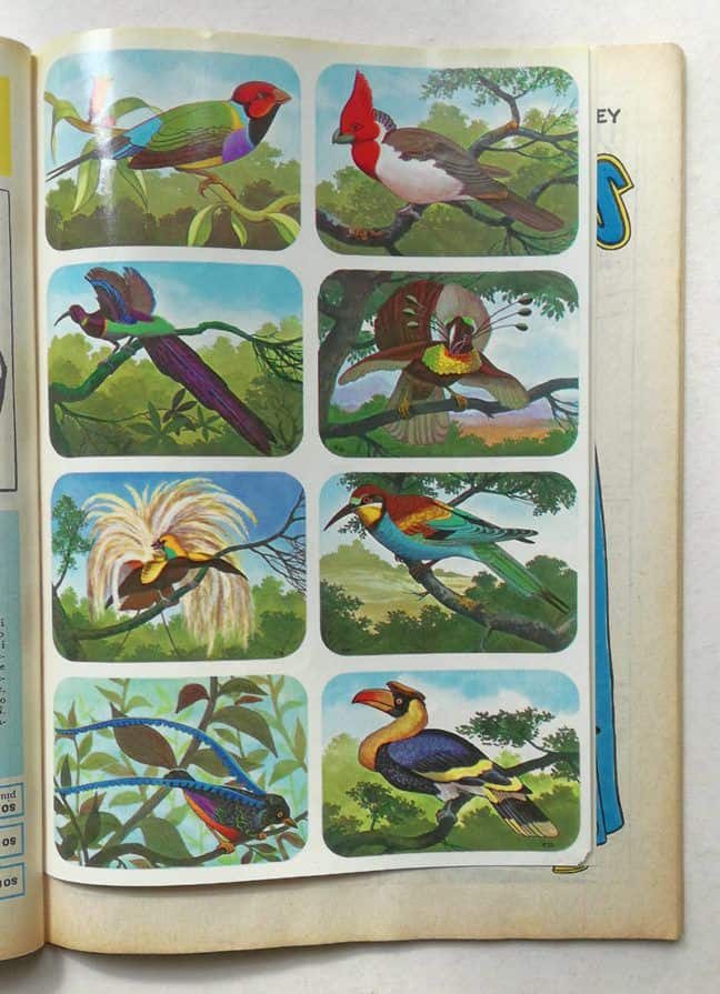 ALBI D'ORO Almanacco Topolino N 11 novembre 1962 MONDADORI Walt Disney - immagine 2