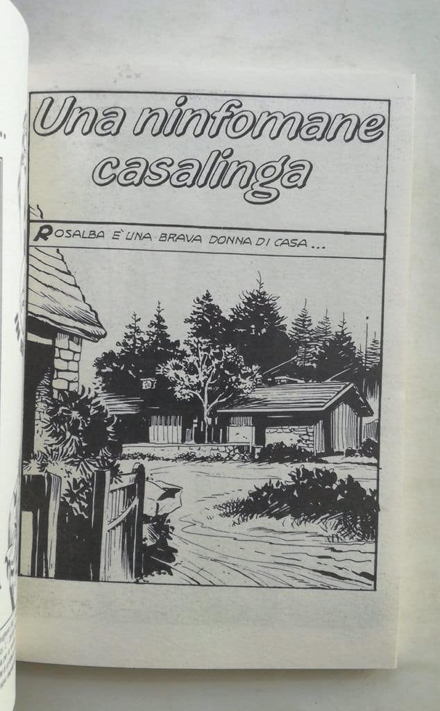 MALIZIA TURBO Una Ninf'omane casalinga REPRISE 2002 edicola - immagine 3