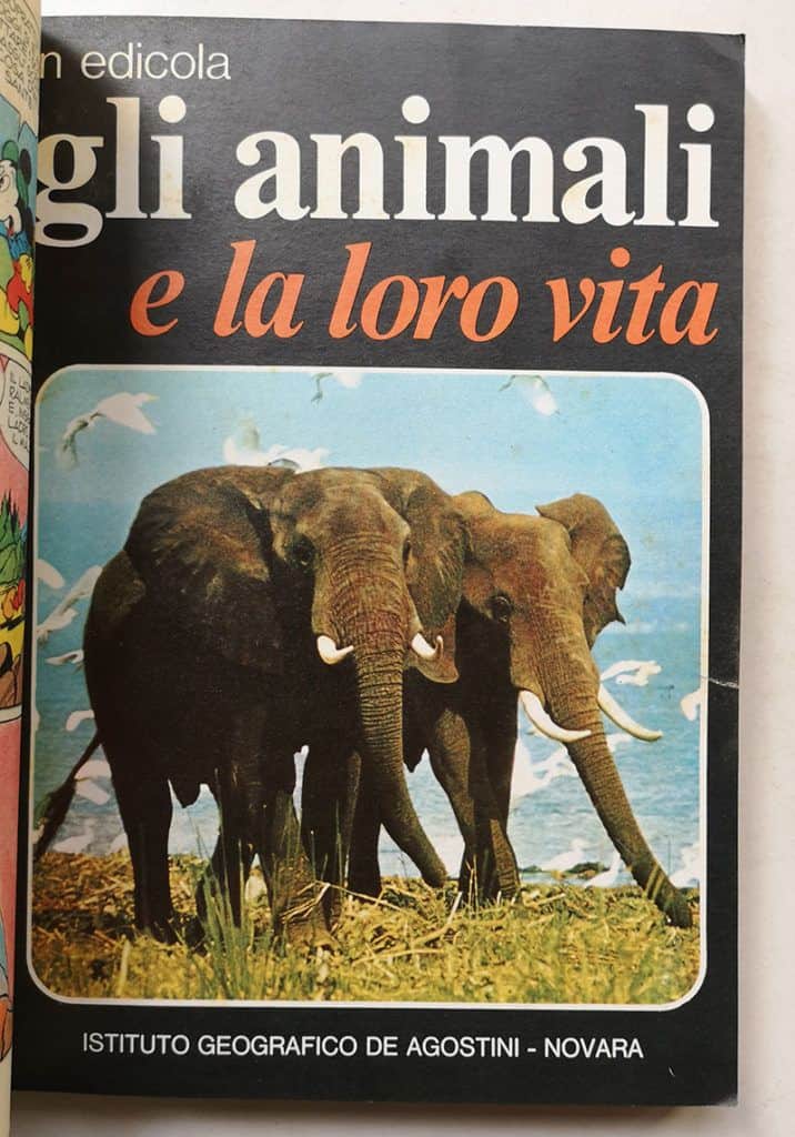 TOPOLINO LIBRETTO n 927 doppia cedola di commissione libraria bollino 1973 - immagine 4