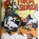 un ragazzo nel far west