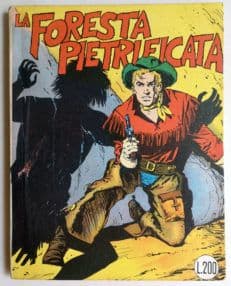 un ragazzo nel far west