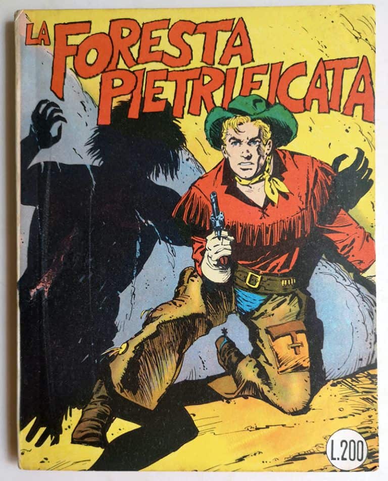 un ragazzo nel far west