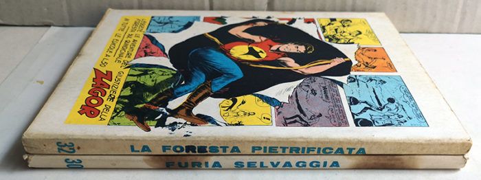 ZENITH GIGANTE Un Ragazzo Nel Far West N 32 La Foresta Pietrificata ARALDO 1963 - immagine 2