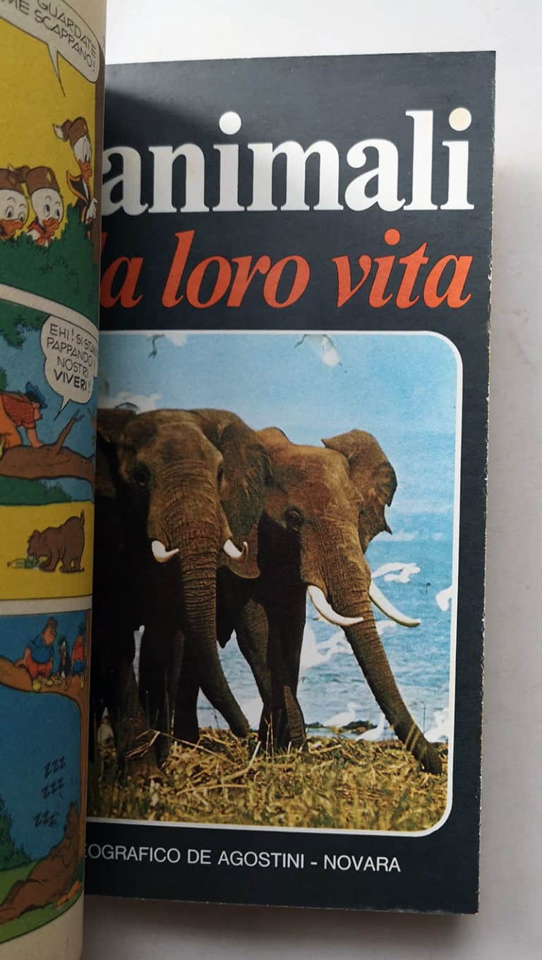 TOPOLINO LIBRETTO n 927 inserto regionale COIN doppia cedola bollino 1973 - immagine 3