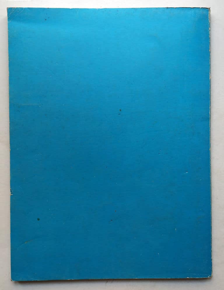 REX 9 L'eroe del cielo BIANCONI 1976 - immagine 2