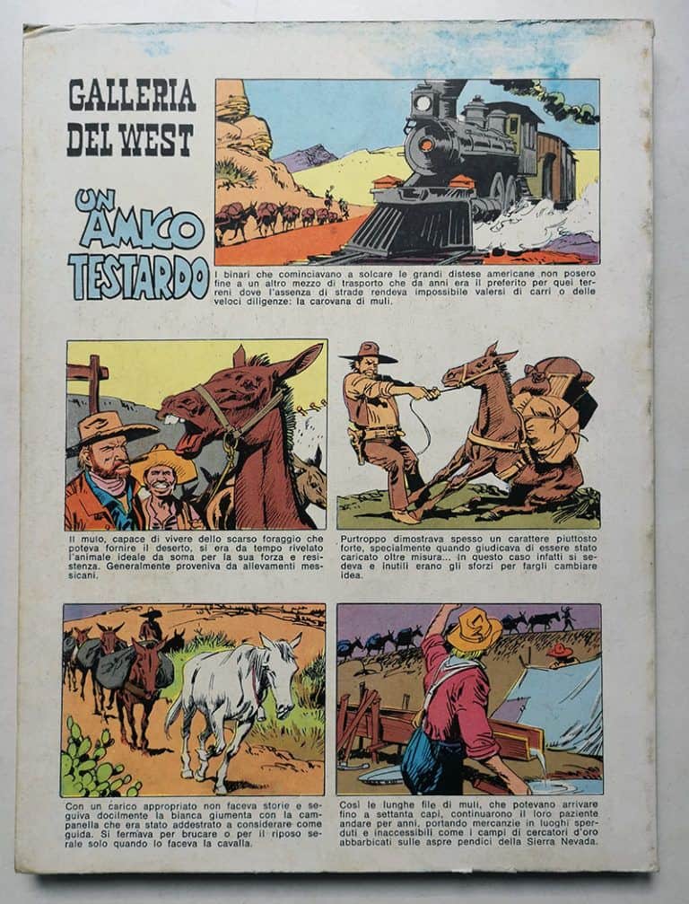 COLLANA RODEO 90 - Storia del West 40 CEPIM 1974 - immagine 3