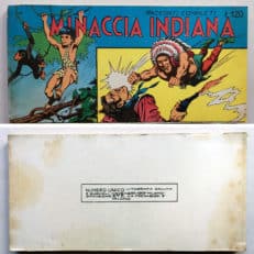 MINACCIA INDIANA