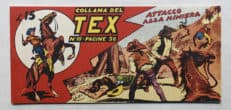 Strisce TEX