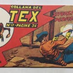Strisce TEX
