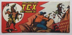 Strisce TEX