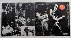 GROUNDHOGS