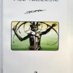 VISO NASCOSTO