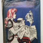 NOVELLE EROTICHE ILLUSTRATE