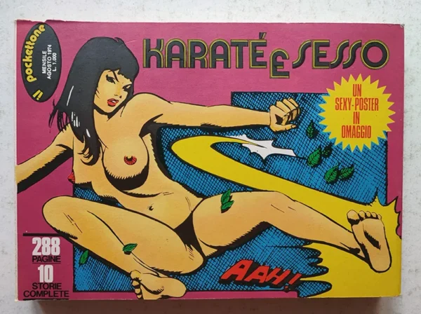 IL POCKETTONE 1 Karatè e Sesso POSTER