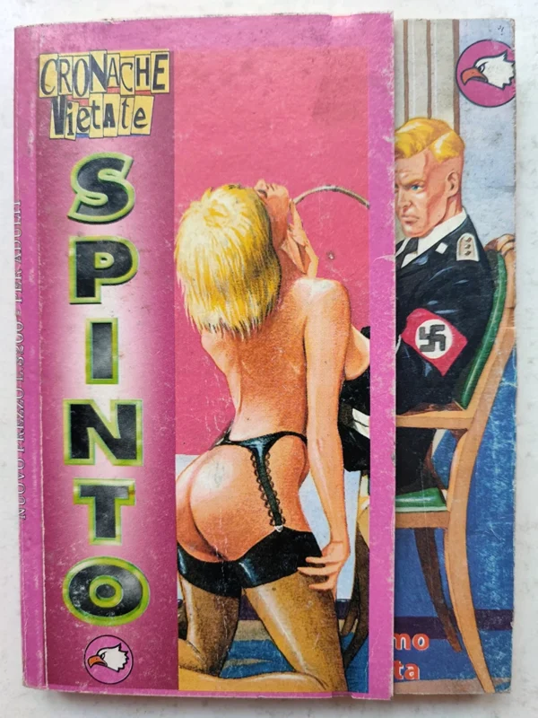 CRONACHE VIETATE Spinto 5